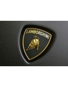 Lamborgini